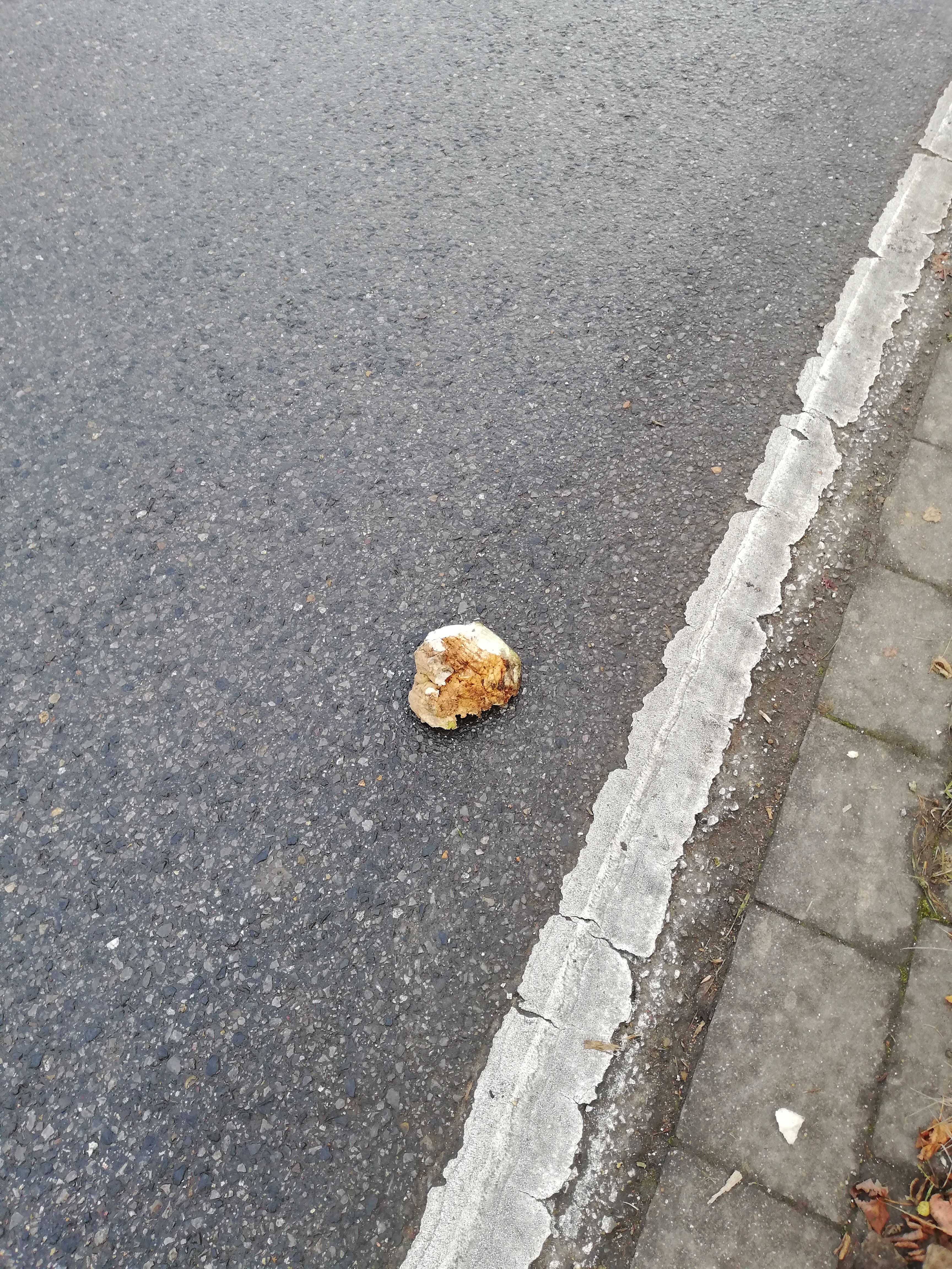 Rübenkampagne