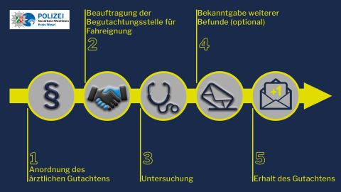 Schaubild des Ablaufes einer ärztlichen Untersuchung